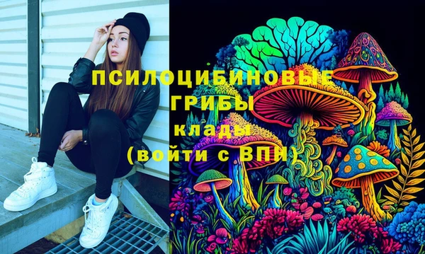 гашиш Горнозаводск