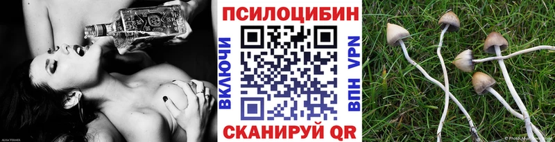 Галлюциногенные грибы Psilocybine cubensis  Нея 
