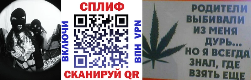 Каннабис планчик  Нея 
